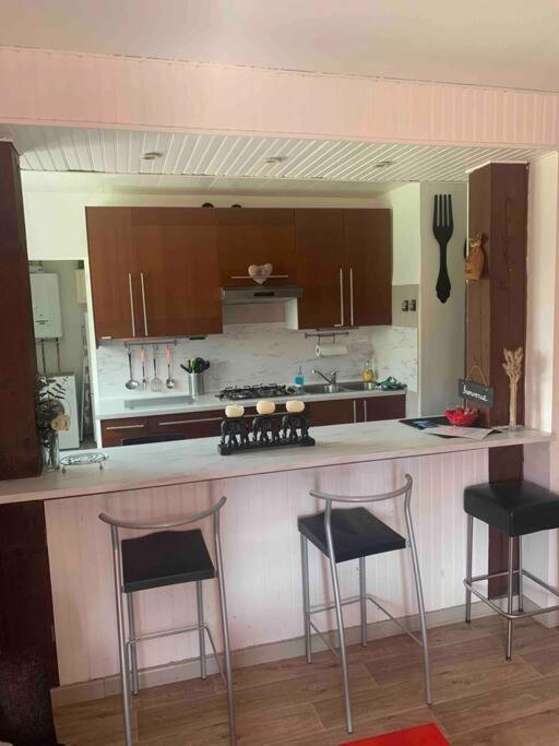 Villa 3 Chambres Parking Et Terrasse Plaisance-du-Touch Exteriör bild
